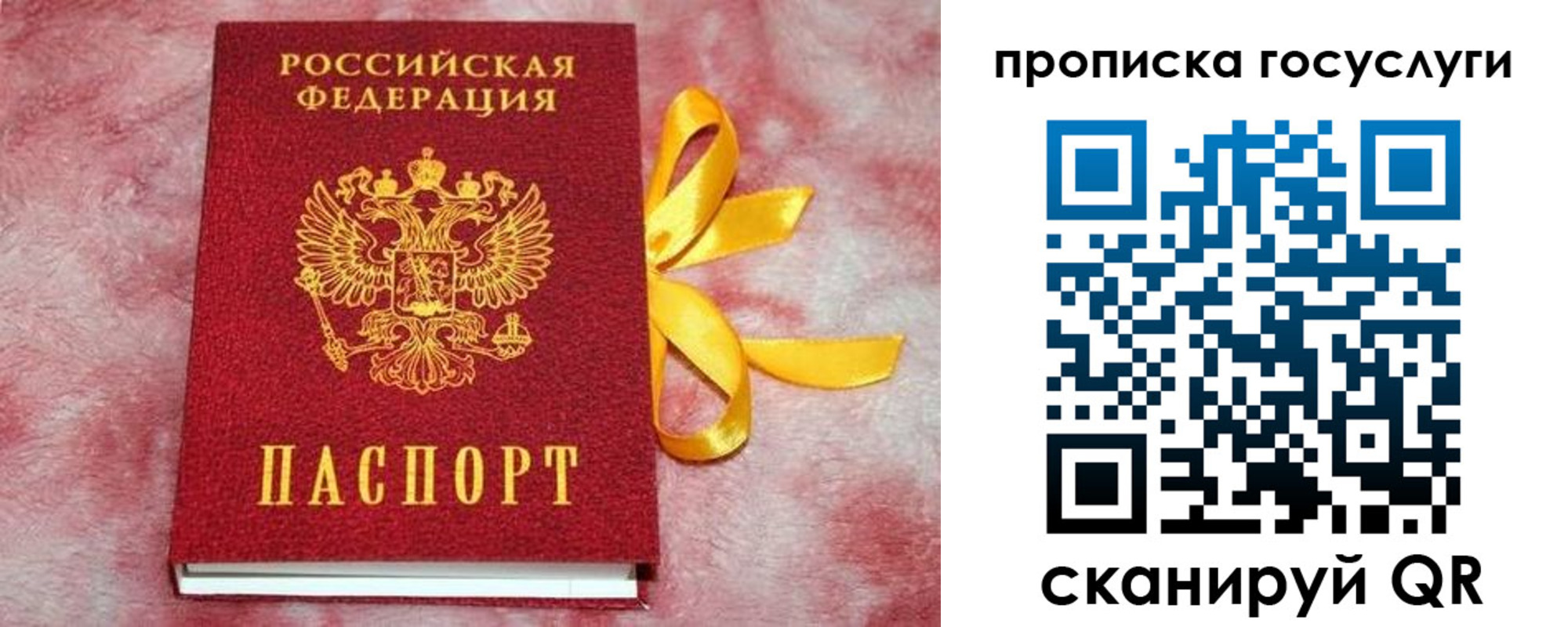 регистрация в Великих Луках